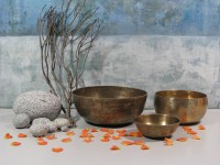 /album/bildergalerie18/fotolia-5529767-xs-jpg17/